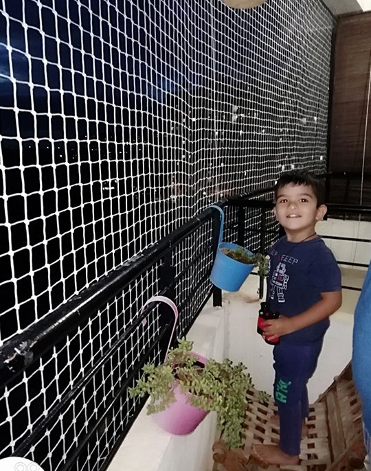 Children's Safety Nets