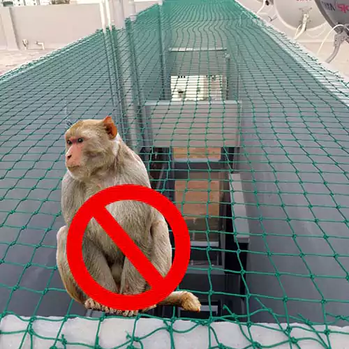 Monkey Net Installation