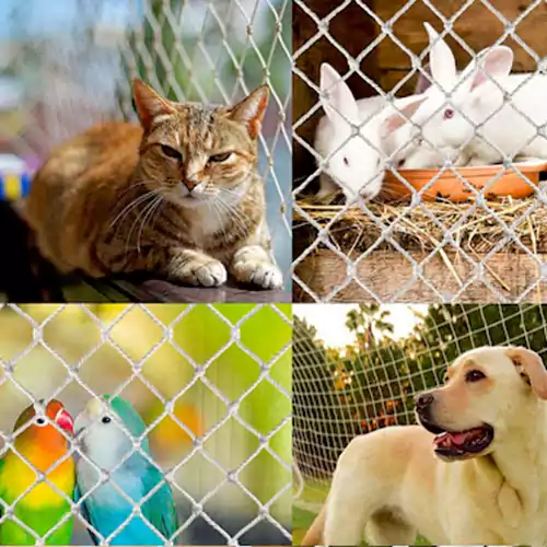 Pet Safety Nets